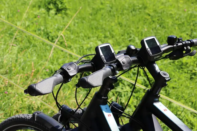 Eine 79-jährige E-Bike-Lenkerin kam nach einer Berührung der Lenkerstangen zu Sturz. (Symbolbild) | Foto: pixabay / planet_fox