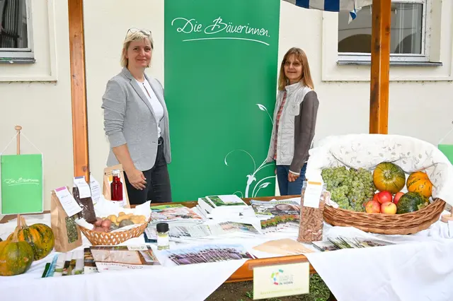 Foto: Julia Langstadlinger / Stadtgemeinde Horn