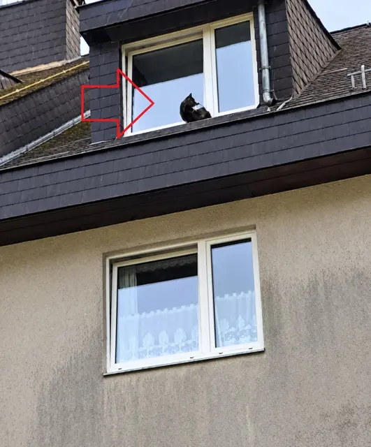 Foto: Bfkdo Amstetten