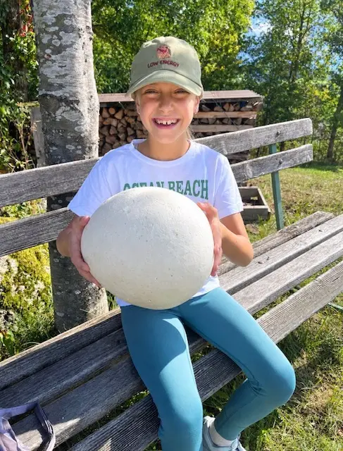 Ein Prachtexemplar eines Riesenbovists hat Greta Hehenberger aus Sarleinsbach gefunden.  | Foto: Hehenberger