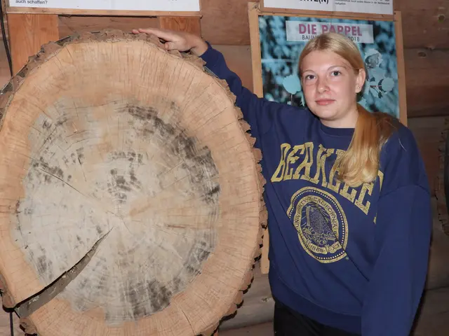 Zusammenarbeit der Holzwelten Pabneukirchen mit der Anrei-Lehrwerkstatt. | Foto: Zinterhof