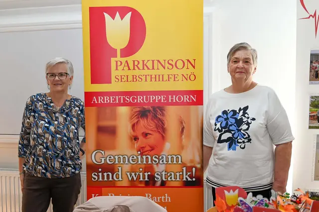 Foto: Julia Langstadlinger / Stadtgemeinde Horn