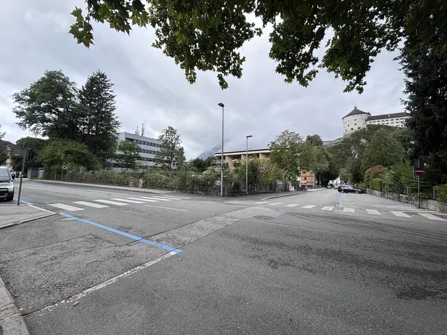 Baumfällung im Villenviertel: Dort wo einst die Hafner-Villa stand, wurden für ein Wohnbauprojekt beinahe alle Bäume gefällt.  | Foto: Barbara Fluckinger