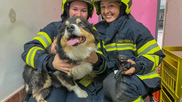 Der Hund der Hausbewohner überstand den Brand unversehrt. | Foto: Bezirksfeuerwehrkommando Oberwart/Alexander Flaschberger