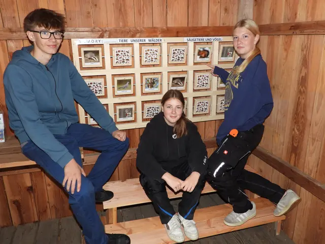 Holzwelten Pabneukirchen. Anrei Lehrlinge vor den  Suchbildern zum spielerischen Kennenlernen des Waldes und der darin lebenden Tiere.  | Foto: Zinterhof