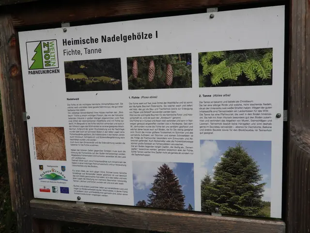 Holzwelten Pabneukirchen. Im ganzen Jahr gratis begehbar. | Foto: Zinterhof