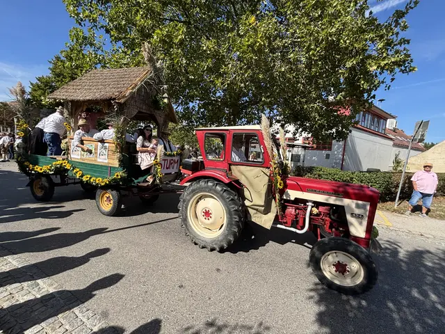 Foto: MeinBezirk