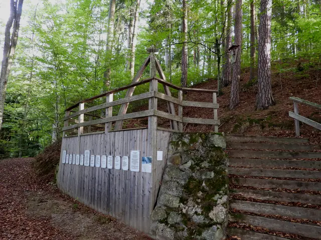 Holzwelten Pabneukirchen. Im ganzen Jahr gratis begehbar. | Foto: Zinterhof