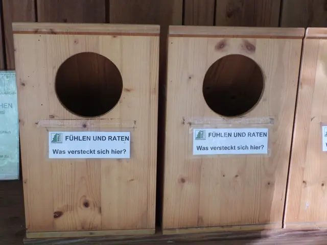 Holzwelten Pabneukirchen. Im ganzen Jahr gratis begehbar. | Foto: Zinterhof