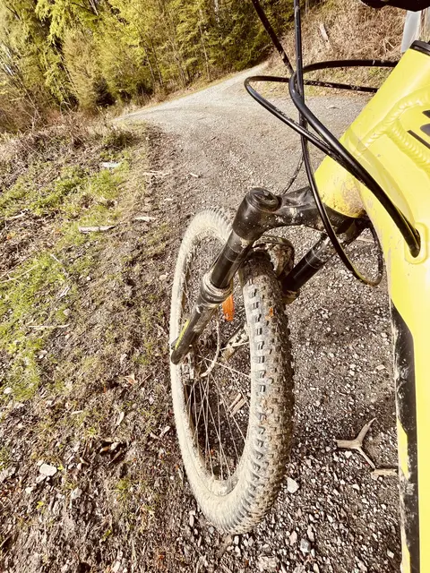 83 Mal ereigneten sich in den Sommermonaten MTB-Unfälle. | Foto: Santrucek