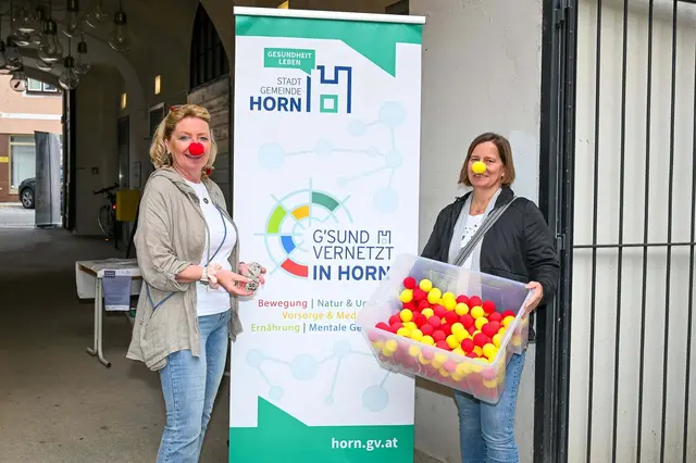 Foto: Julia Langstadlinger / Stadtgemeinde Horn