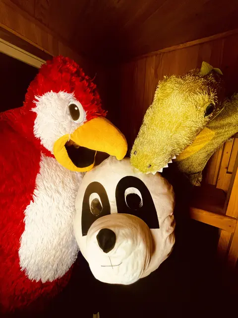 Bunte Brise: Ein Papagei, ein Panda und ein Krokodil machen rock für Kids. | Foto: Bunte Brise