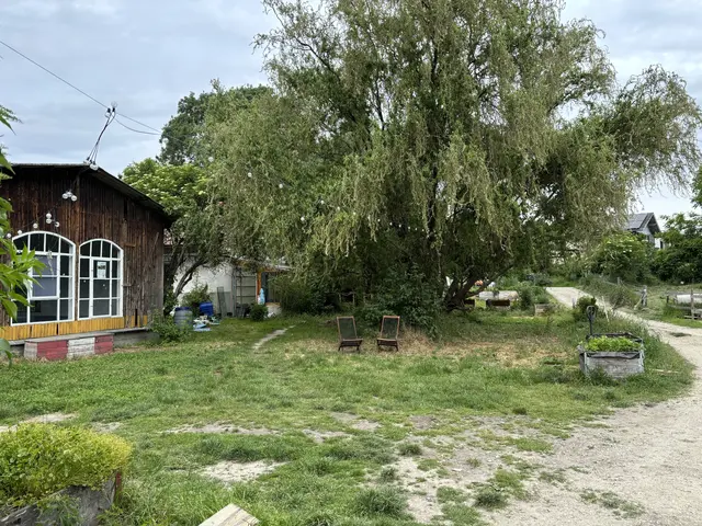 Bei dem Festival können Interessierte auch die Stadtfarm in der Donaustadt besuchen. (Archiv) | Foto: Luise Schmid/MeinBezirk