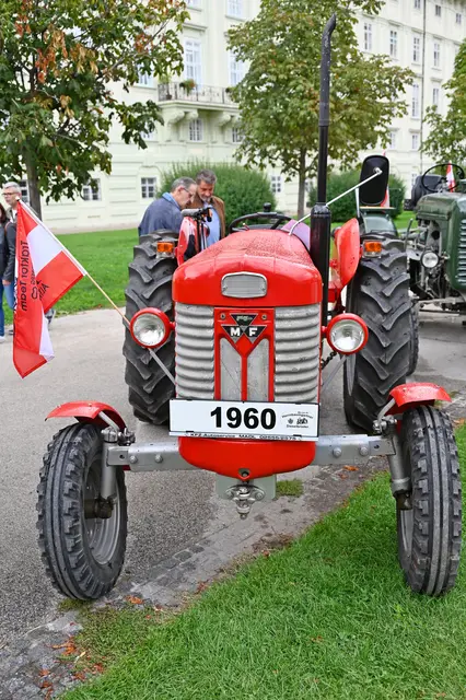 Foto: Friederike M. Schuster