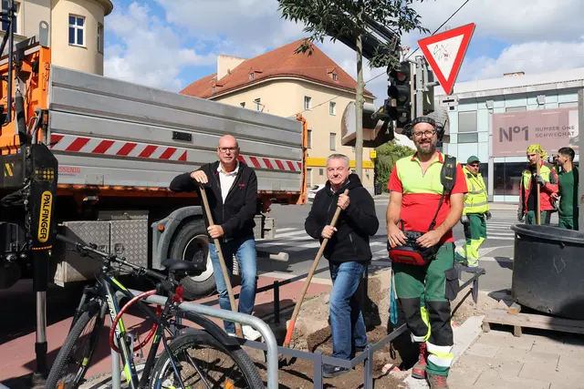 Mit den zusätzlichen Bäumen erhält der Hauptplatz weitere grüne Akzente.  | Foto: Stadtgemeinde Schwechat