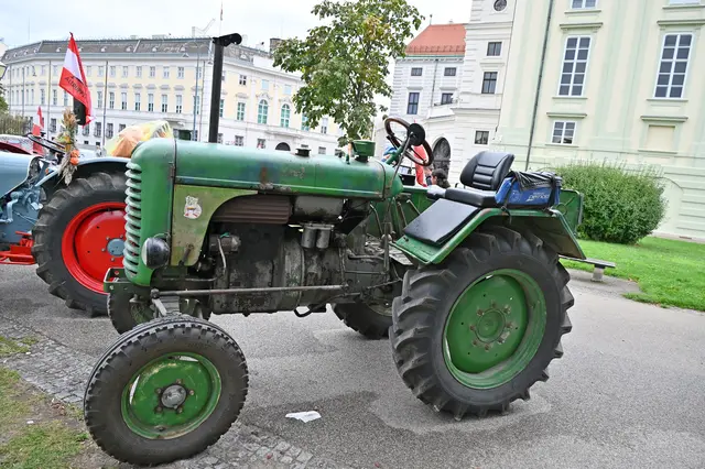 Foto: Friederike M. Schuster