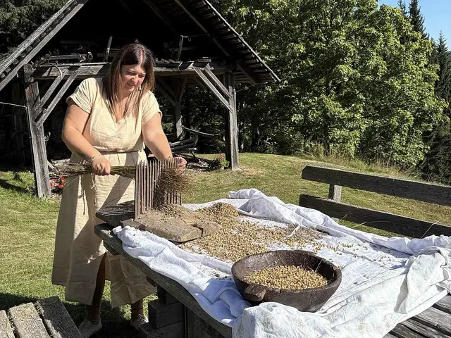 Maria Obermeier beim Riffeln des getrockneten und gerösteten Flachs. | Foto: UMJ/B. Russ-Panhofer