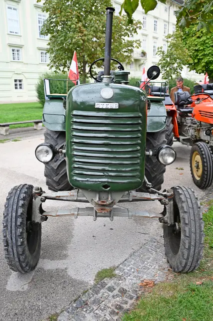 Foto: Friederike M. Schuster