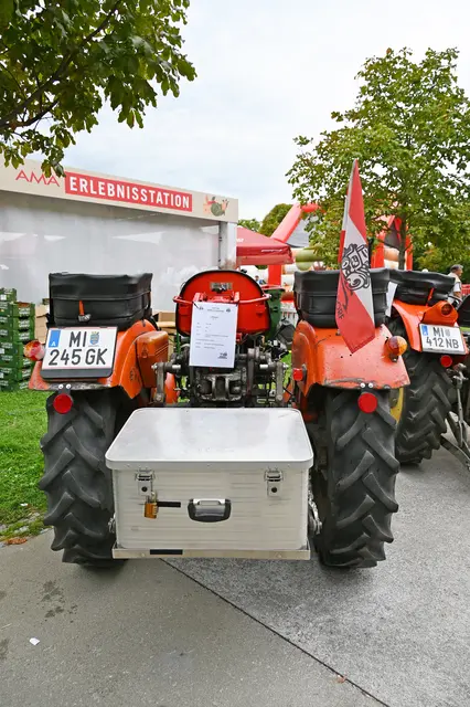 Foto: Friederike M. Schuster