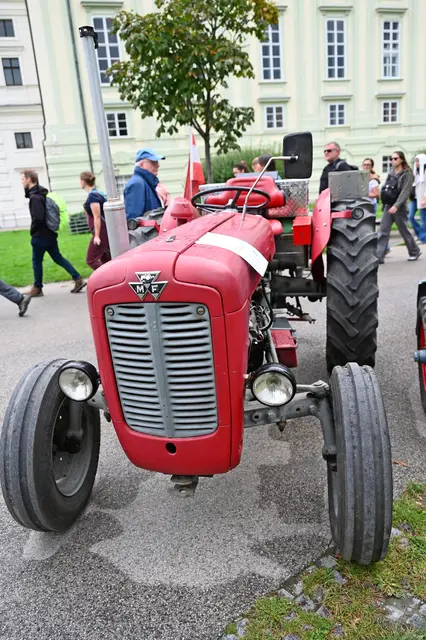 Foto: Friederike M. Schuster