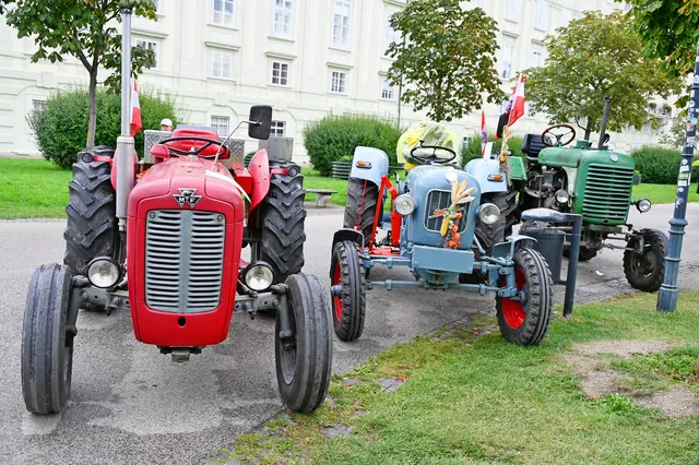 Foto: Friederike M. Schuster