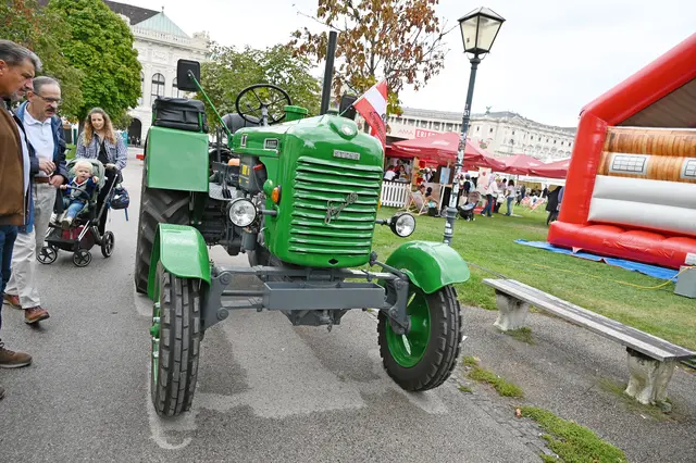 Foto: Friederike M. Schuster