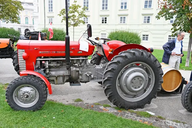 Foto: Friederike M. Schuster