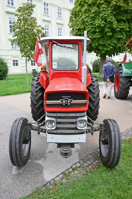 Foto: Friederike M. Schuster