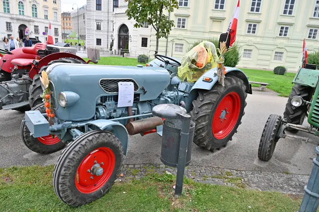 Foto: Friederike M. Schuster
