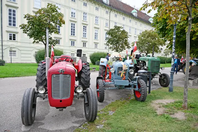 Foto: Friederike M. Schuster