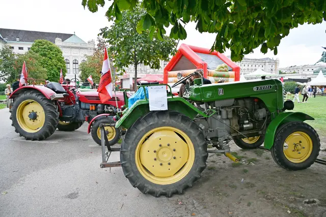 Foto: Friederike M. Schuster