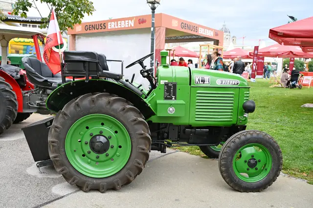 Foto: Friederike M. Schuster