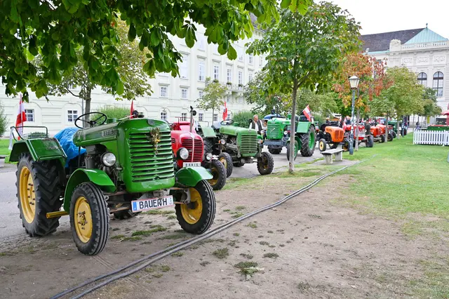 Foto: Friederike M. Schuster