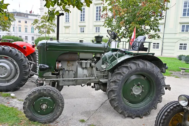 Foto: Friederike M. Schuster