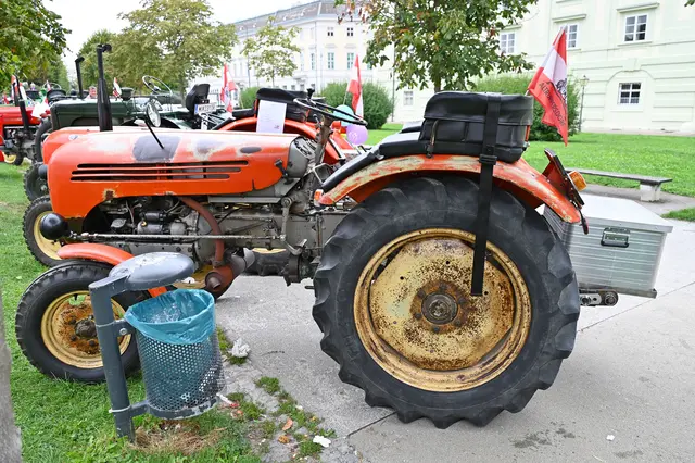 Foto: Friederike M. Schuster