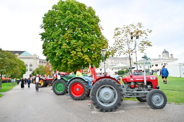 Foto: Friederike M. Schuster