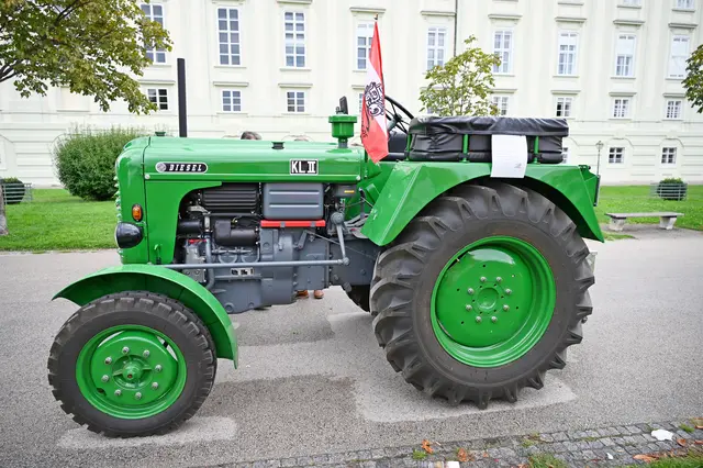 Foto: Friederike M. Schuster