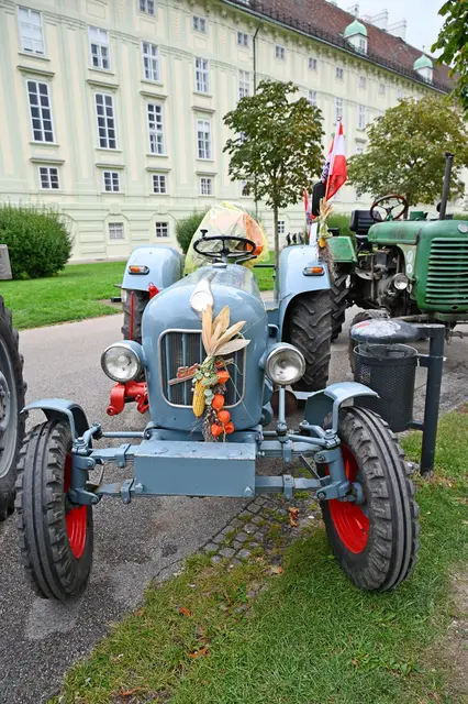 Foto: Friederike M. Schuster