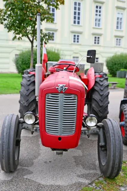 Foto: Friederike M. Schuster