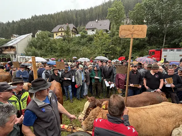 Auch bei der Jubiläumsauflage war das Interesse wieder gewaltig.  | Foto: Gemeinde Gasen