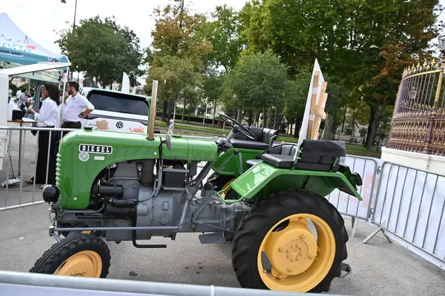 Foto: Friederike M. Schuster
