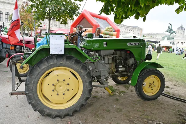 Foto: Friederike M. Schuster