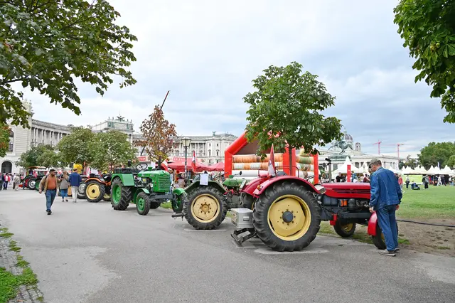 Foto: Friederike M. Schuster