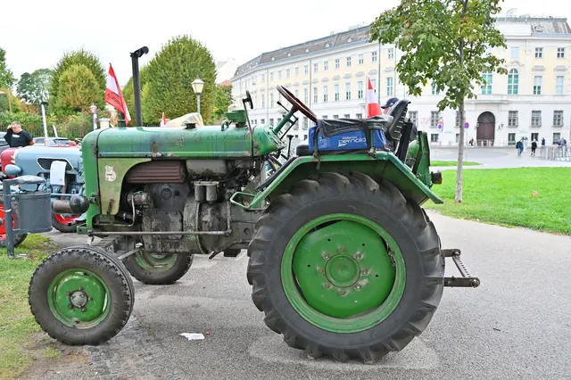 Foto: Friederike M. Schuster