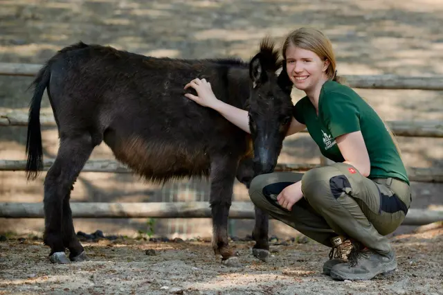 Amy hat sichtlich Freude im Umgang mit Tieren. Darum führt sie ihre Lehre im Zoo Schmiding auch zu ihrem Traumjob als Tierpflegerin. | Foto: Zoo Schmiding