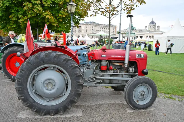 Foto: Friederike M. Schuster