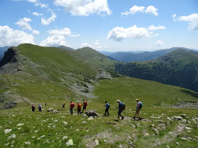 Diesen Herbst laden die Naturfreunde zu interessanten Wanderungen ein. | Foto: Naturfreunde Fe