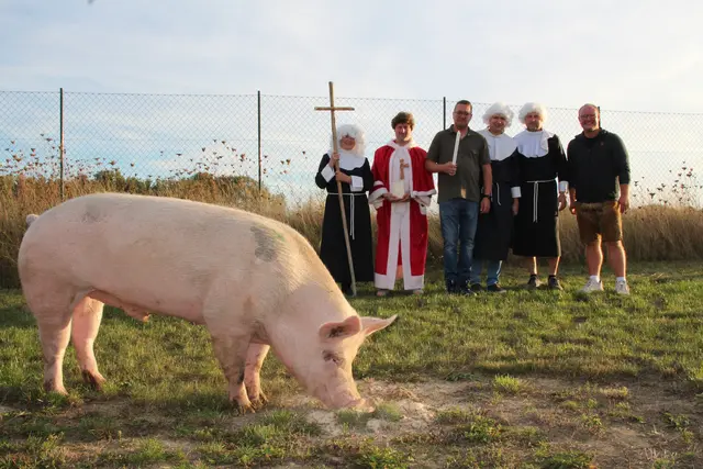 Bei der "Taufe" von Schwein Rudi | Foto: Petra Pollak
