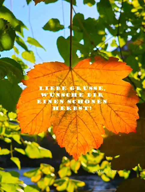 Liebe Grüße, Herbst