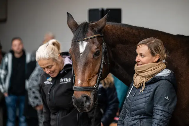 Tiersegnung Dr. Eigl
